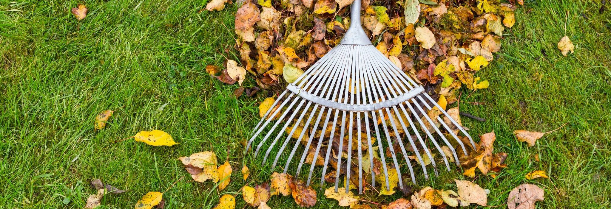 The 15 Must-Dos of Fall Yard CleanupBe ready for all Fall throws your way!